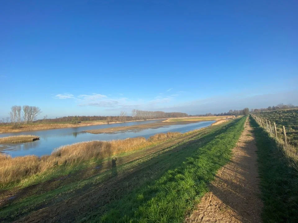 natuur op tholen
