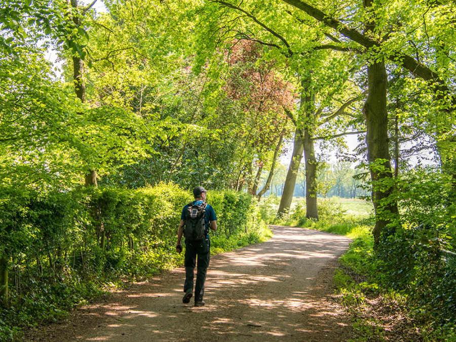 Wandeling door bossen oostkapelle