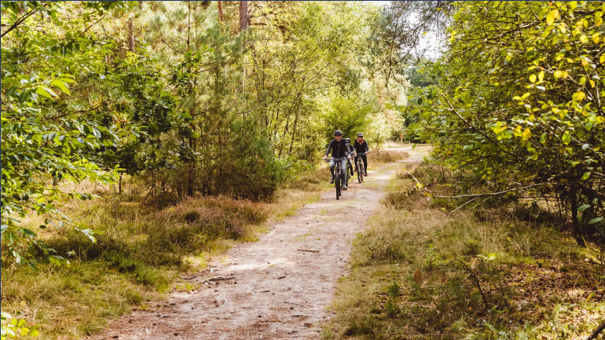 fietsen door bos in oostkapelle