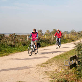 Fietsers op een landweggetje door de Zeeuwse natuur