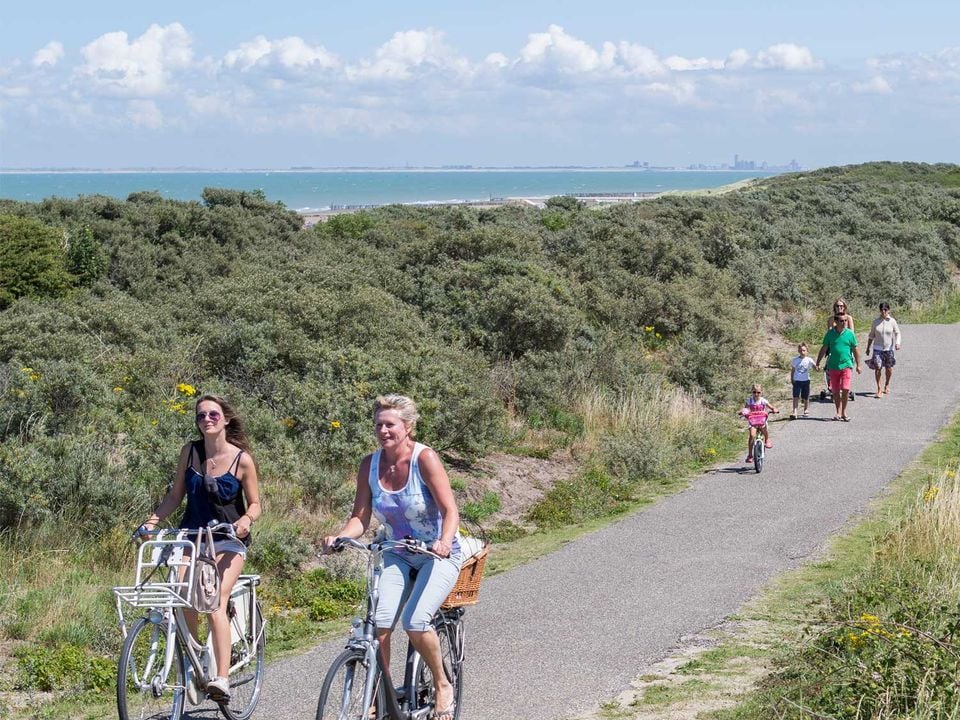 Fietsen door zeeuws vlaanderen