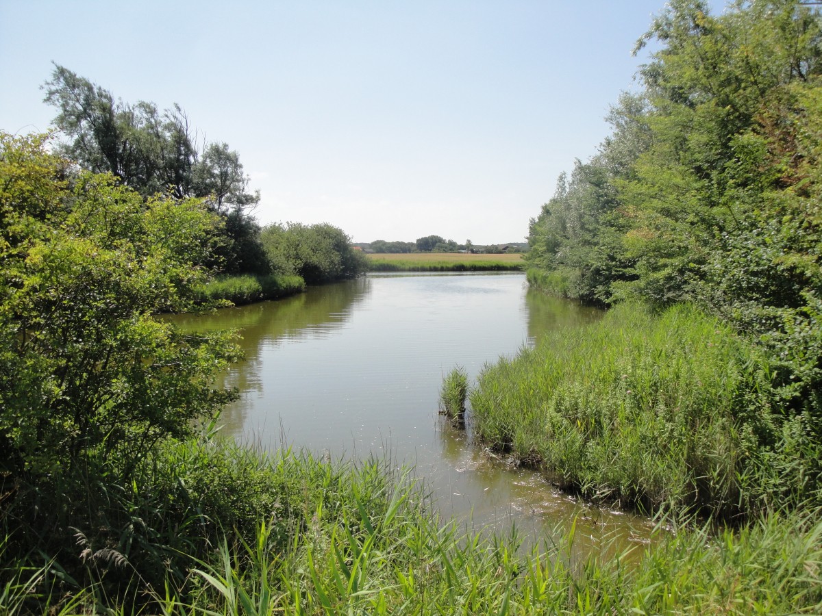 Gedeelte van de westkapelse kreek