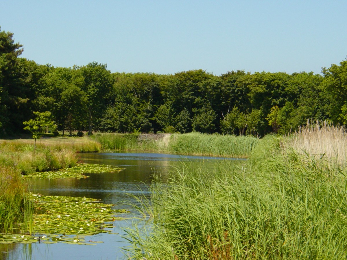 mooi gebied in oostkapelle